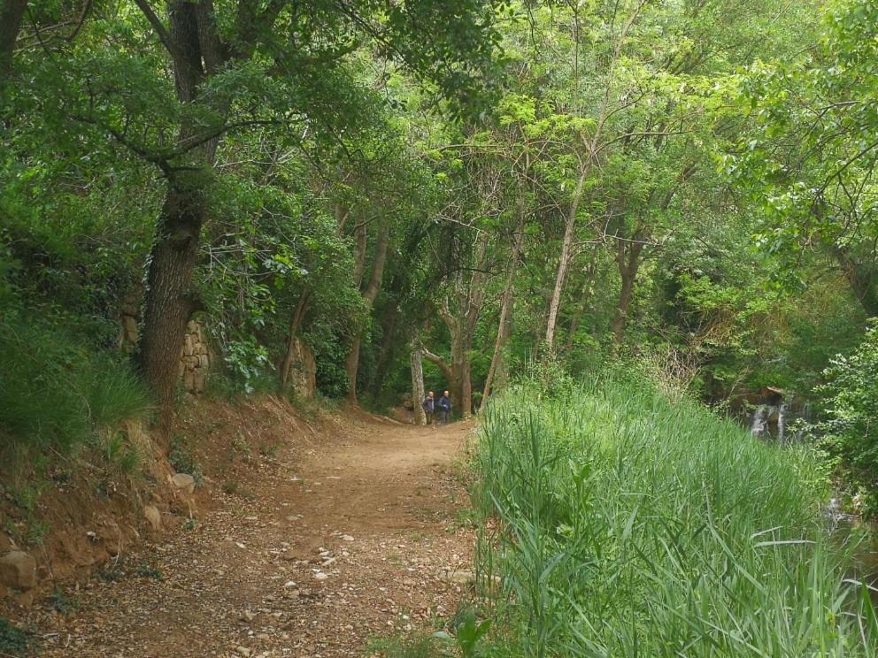 La Casa Dels Ocells (Adults Only) Bed and Breakfast Granollers de Florejacs Εξωτερικό φωτογραφία