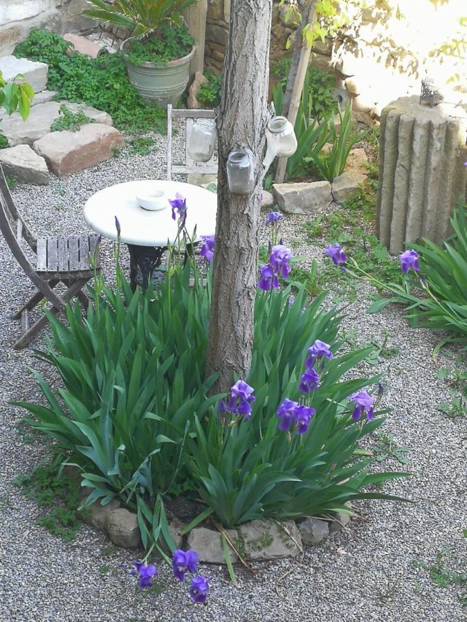 La Casa Dels Ocells (Adults Only) Bed and Breakfast Granollers de Florejacs Εξωτερικό φωτογραφία
